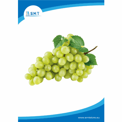 Uva bianca Vittoria