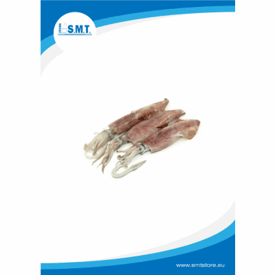 Calamari S/Africa M C/B