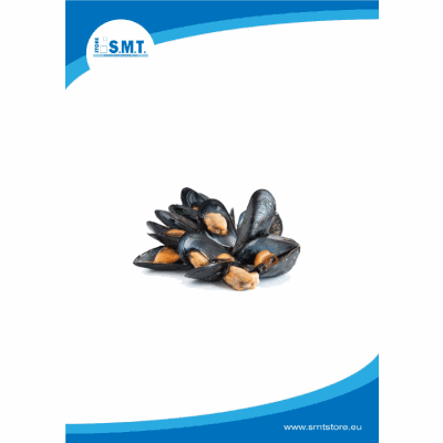 Cozze con Guscio 40/60 5x1Kg