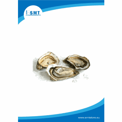 Ostriche bretagna 1/2 guscio 48pz