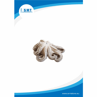Tentacoli di polpo Marocco crudi T5 6 Kg