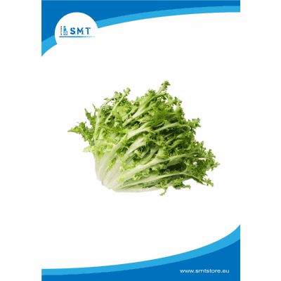 Scarola Riccia Italia cassa da 3 kg circa