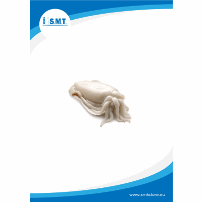 Seppie pulite Marocco IQF 1500/2000 12 Kg