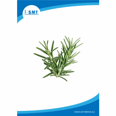 Rosmarino foglie kg1-Cannamela
